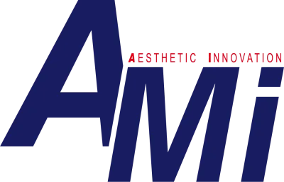 AMI INC